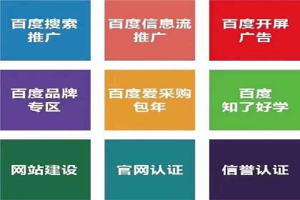 百度SEM推广案例：揭秘行业领军企业的成功之路